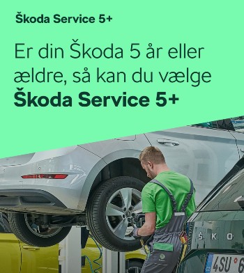  5+ Service