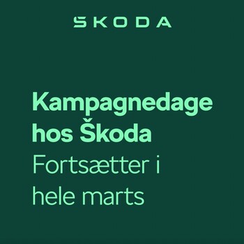  Kampagnedage 23